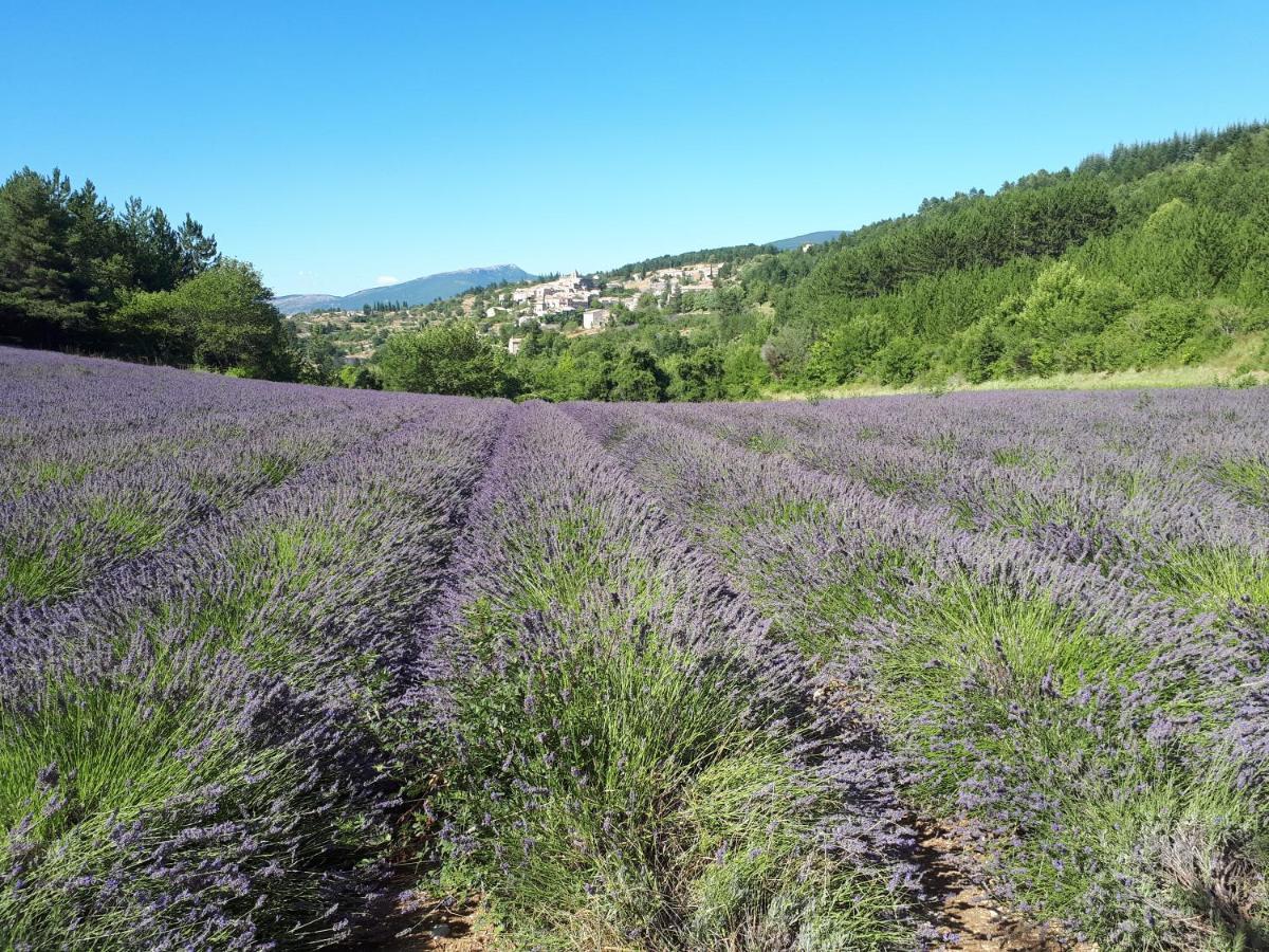 gite dentelles Loriol-du-Comtat Esterno foto